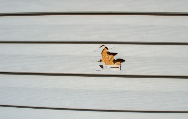 Cost of Siding Hole Patching in Fort Walton Beach